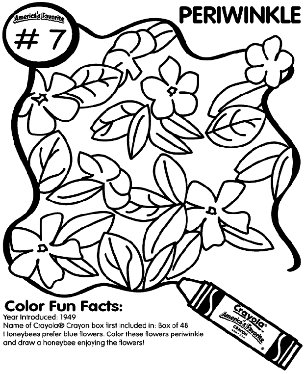 No.7 Periwinkle Coloring Page